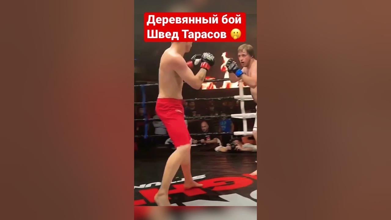 Швед против люблино бой. Швед поп ММА.