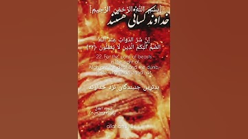 بسم الله الرحمن الرحیم #سورة_البقرة #سورة_ق #سورة_هود #الله #بهروز_رضوی #خدا #مسعود_ریاعی