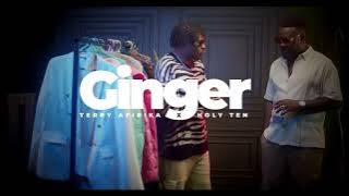 Ginger feat Holy Ten -  Video (cover by P10)