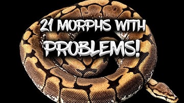 21 Ball Python Morphs with Problems!