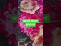 আপনি নিরাশ হবেন না কষ্টের পরে আছে সস্তি#dua #kaba #makkah #quran #jannat