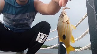 Claver Surigao Del Norte Boulevard Fishing Part 1