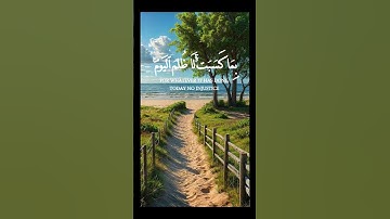 اليوم تجزى كل نفس بما كسبت خالد الجليل تلاوة خاشعة