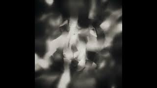 16555152601232134154534