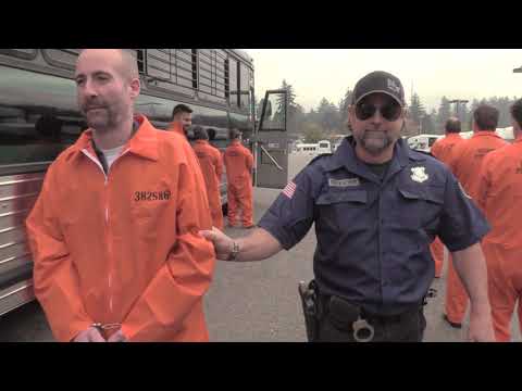 2005 MCI D4000