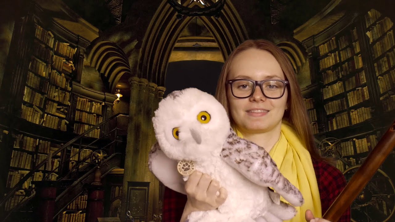 Harry Potter - Window of the Past (Bamboo Flute Cover) + Sheet Music