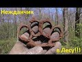 КРИМИНАЛЬНАЯ НАХОДКА В ЛЕСУ. КОП В ГЕРМАНИИ.