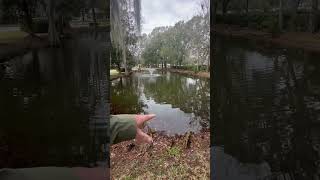 Understanding small pond management