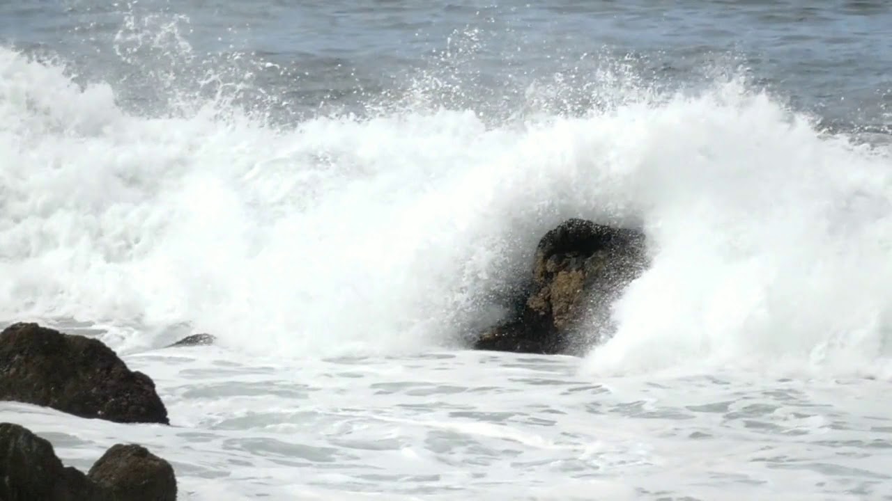 A Free Night In Bushwick | Chill Vibe EDM | Beautiful Field & Coast | Beach Waves | ❤😊💜