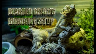 PROPERLY Set Up a Desert BIOACTIVE for your BEARDED DRAGON