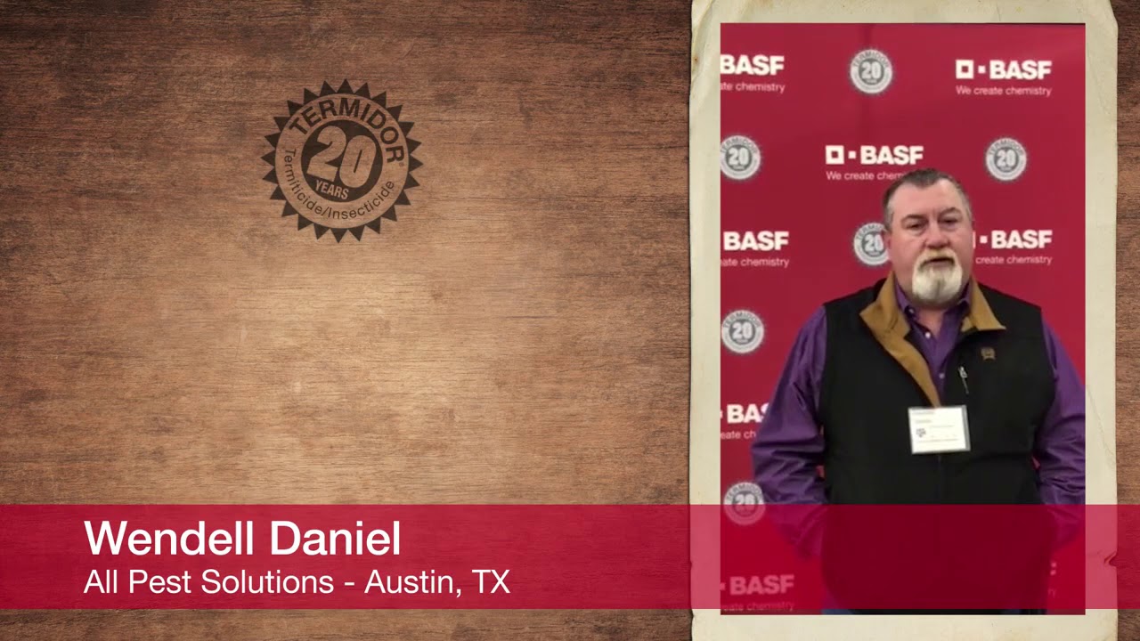 Termite Treatment Plano - All Pest Solutions, Plano Tx | 972-265-9670