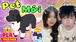 Play Together | Mình Đã Dùng Hết Nhân Phẩm Để Mở Trứng Pet Mới