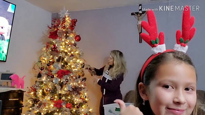 Pusimos el árbol de Navidad/ mi Historia con un anuncio para uñas