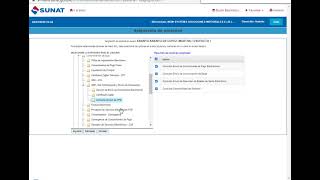 Crear Usuario Secundario Sunat Facturación Electrónica Sistemas Propios screenshot 3