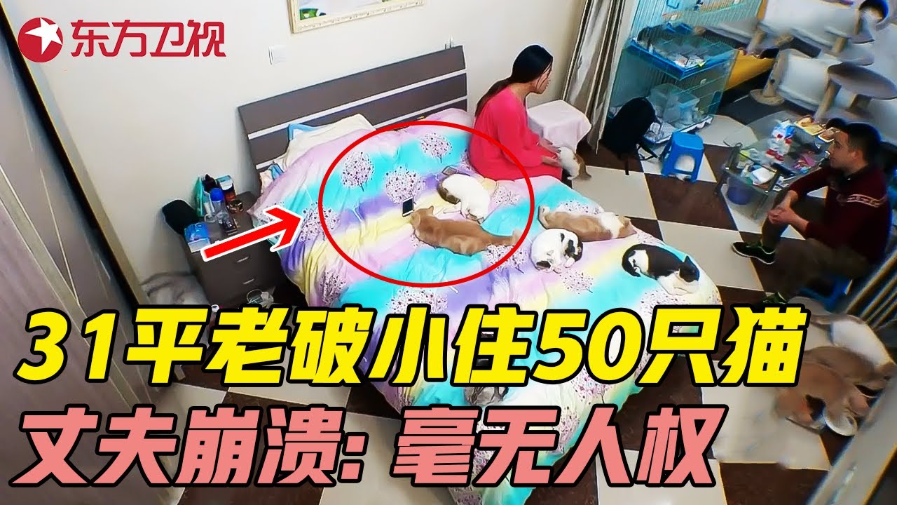 夫妻与50只猫同住31平老破小, 丈夫崩溃大喊: 连床都不能睡, 简直没有人权! #生活改造家 EP01 FULL
