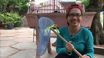 Cách làm vợt bắt bướm côn trùng cho bé | Hương story
