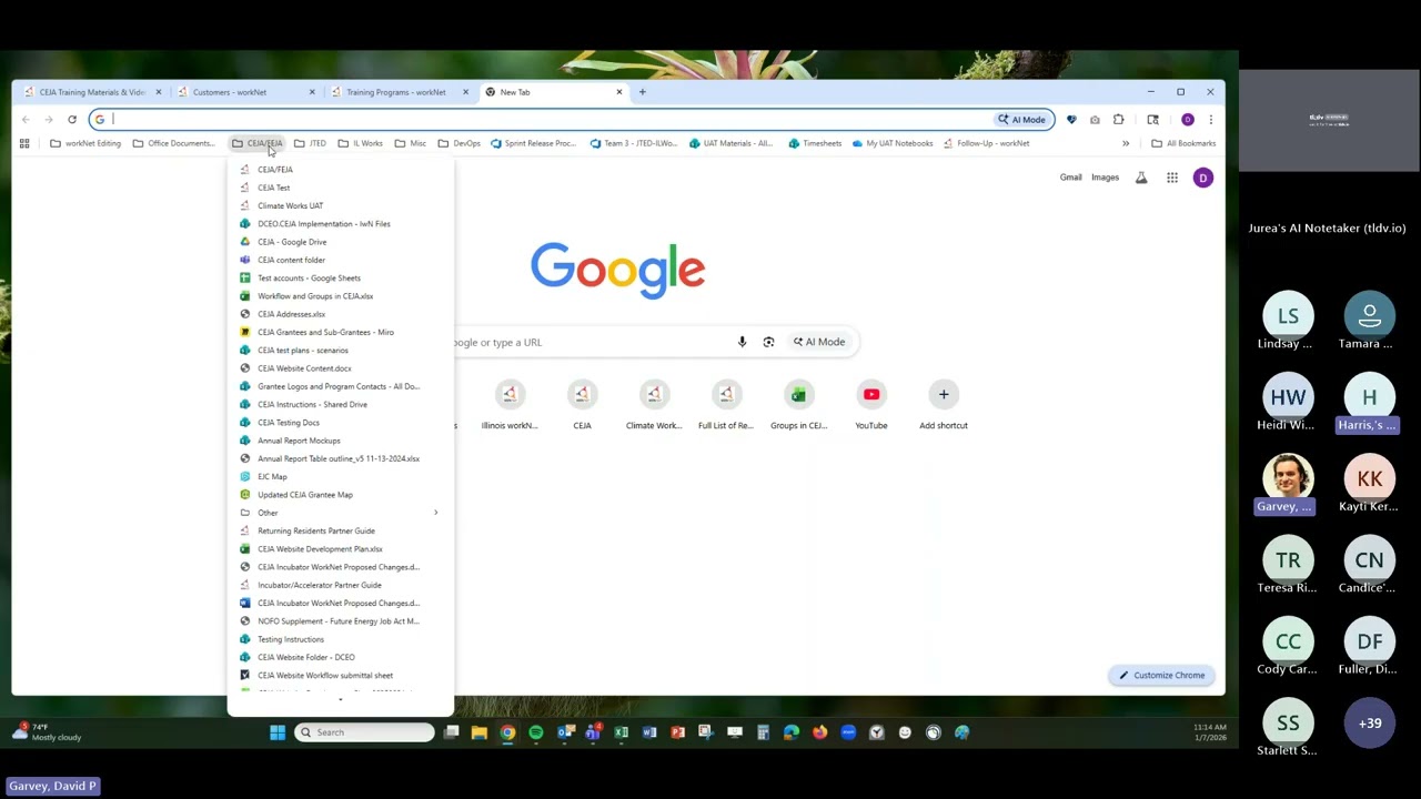 Часы работы системы отчетности CEJA - 07.01.2026