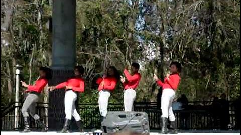 UF Greekfest - Lambda Psi Delta Sigma Theta Spr2008 (2010).flv