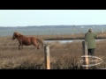 Check Out Pneu-Dart's Outdoor Channel Commercial! (2011)