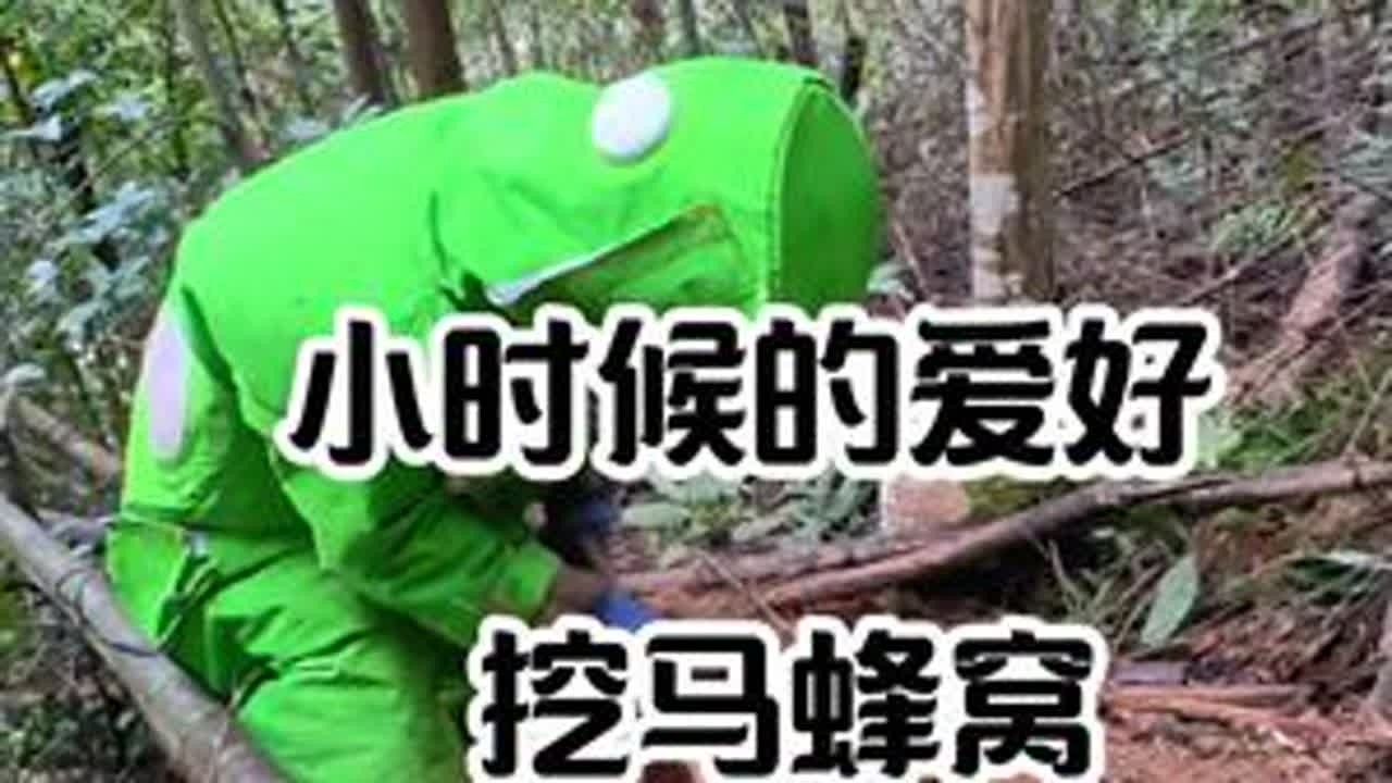 当小时候的爱好成为了养家糊口的日常 何尝不是一种幸福#小时候味道  #掏马蜂窝  #8090后 #康哥诱蜂找蜂  #大自然的馈赠