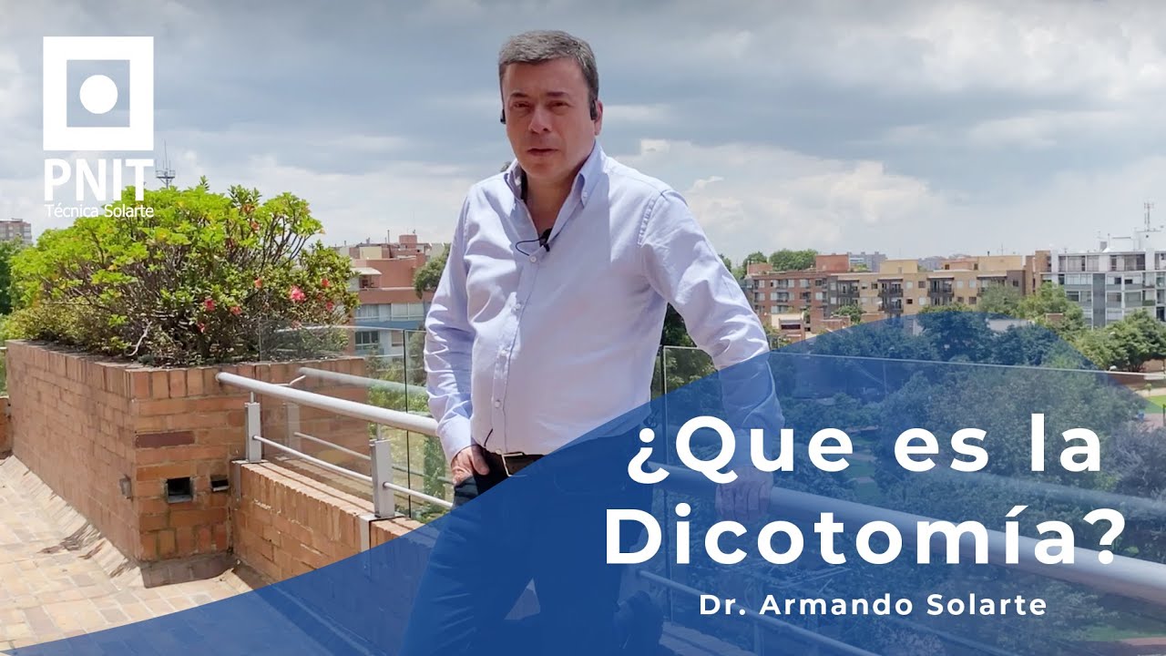 ¿Qué es la dicotomía?
