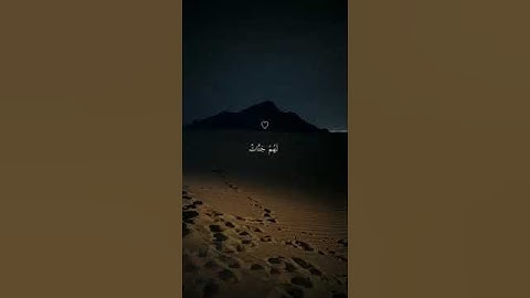 // قرآن كريم // لا يغرنك تقلب الذين كفروا في البلاد// القارئ ماهر المعيقلي//