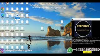 How to Remove QOQA Virus and Recover Files from .QOQA virus | .QOQA files repaired screenshot 3
