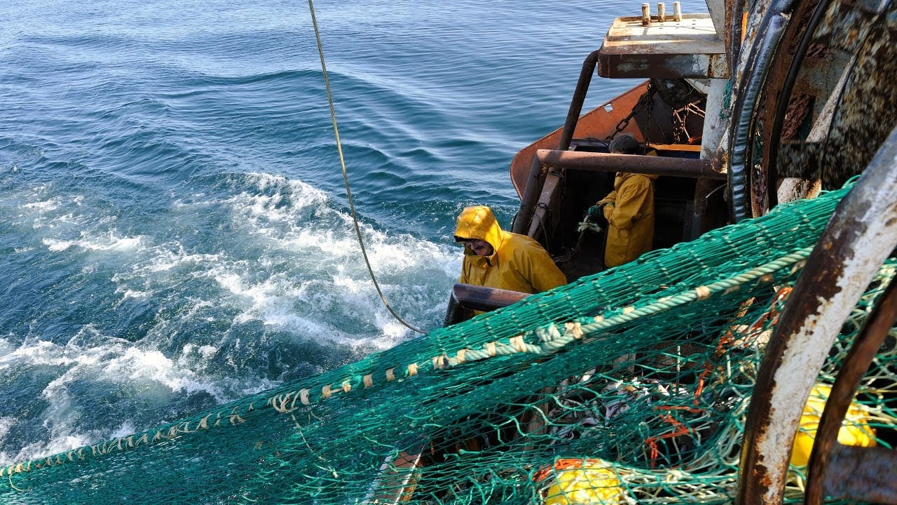 Les aides au carburant prolongées pour les pêcheurs jusqu'en juin 2024