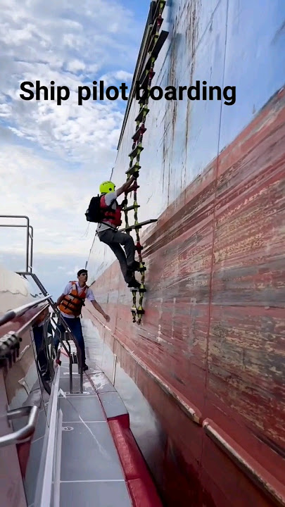 Pilot Kapal Naik Kapal || Pekerjaan Berbahaya Pilot || #kapalpesiar #kehidupanpilot #pilot #pilot #kapal
