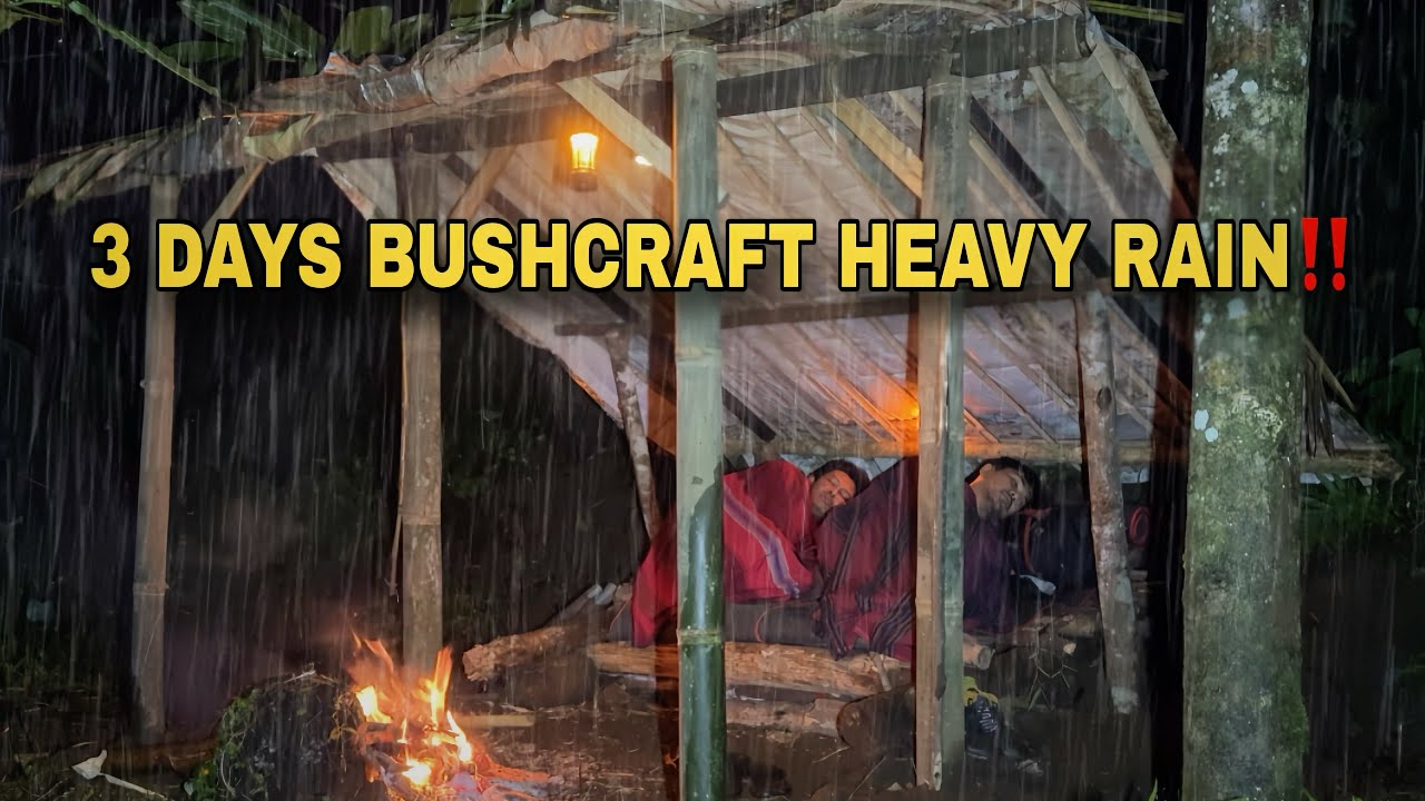 Craziest 3 Days Bushcraft in Heavy Rain –  BEST 3 Building Shelter & Fire in HEAVY RAIN and Thunders