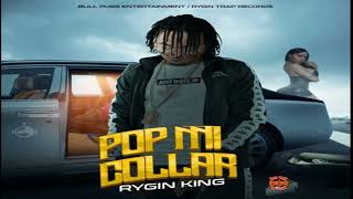 Pop Mi Collar - Rygin King 2021
