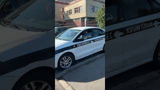 Патрульный автомобиль «отдела по борьбе с усатыми телками»