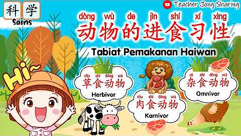 科学 | 动物的进食习性 【草食动物】【肉食动物】【杂食动物】| 双语 [华语&国语] - 天天要闻