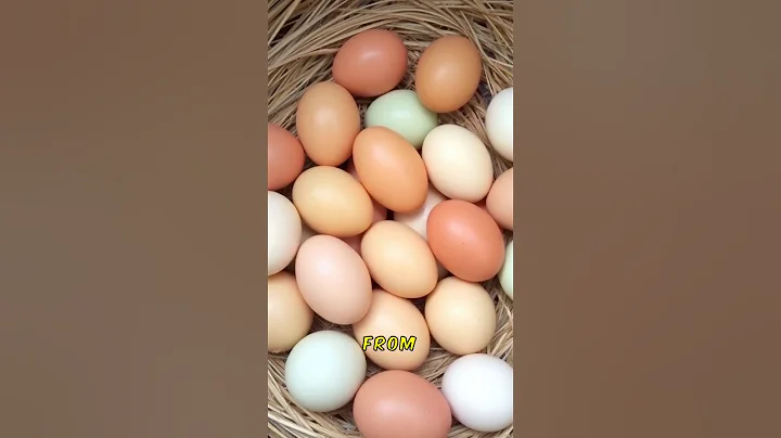 Chickens are smarter than you think