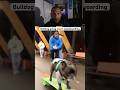 Bulldogs skateboarding is addicting #skateboarding #skate #skateboard #dogs #bulldog