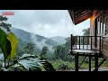 Peaceful Rain Forest Rain and Piano Music for Nighttime Serenity