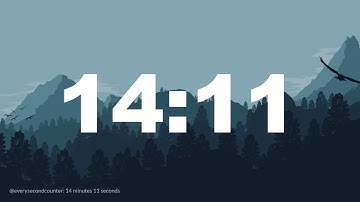 14 minutes 11 seconds [851 secs] clock timer countdown || Alarm Focus || Chill Music
