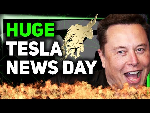 Tesla Shares Robotaxi