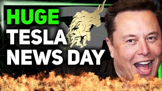 Tesla Shares Robotaxi Service Details / FSD Approval in EU / Elon Says 5 Critical Words