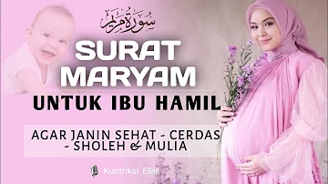 Surat Maryam untuk Ibu Hamil - Suara Merdu Fasih Menenangkan Hati - Kuntriksi Ellail