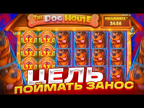 Видео: РУБРИКА!!! ТОЛЬКО БЫНУСЫ ЗА 10К ДАЛИ ЗАНОС ?! THE DOG HOUSE MEAGWAYS