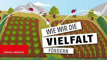 Was fördert die Biodiversität?