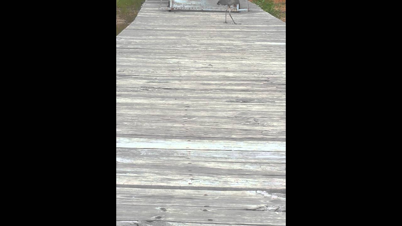 video phone beyonce mp3 May 9, 2016 Heron