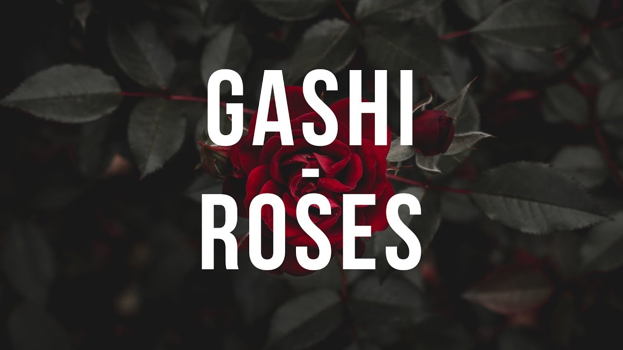 GASHI   Roses Official Lyric Video