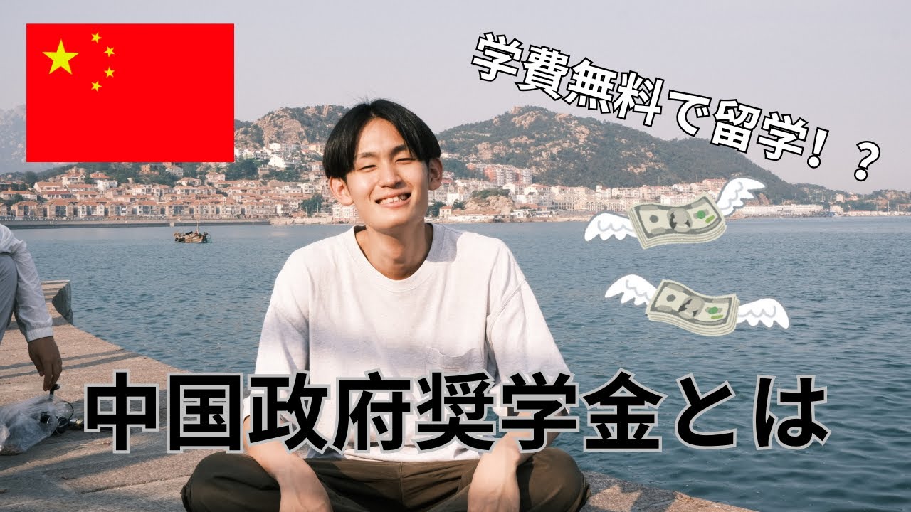 【中古】中国における大学奨学金制度と評価 71zIPsLwVFL.jpg