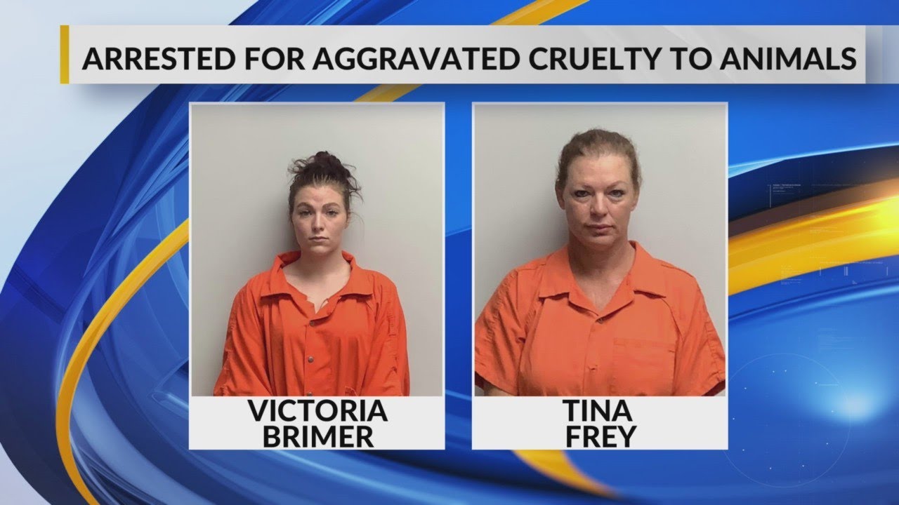 Two women arrested for aggravated cruelty to animals - YouTube