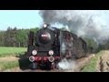 [Poland PKP]Steam Engines in Wolsztyn