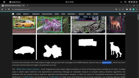Salient Object Detection - Language: Persian