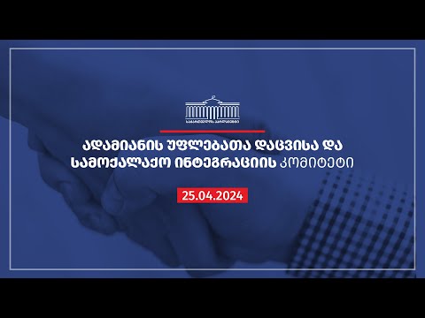 ადამიანის უფლებათა დაცვისა და სამოქალაქო ინტეგრაციის კომიტეტის სხდომა -  25.04.2024