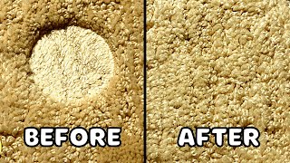 Remove Furniture Dents From Carpet (Easy-Peasy) screenshot 4